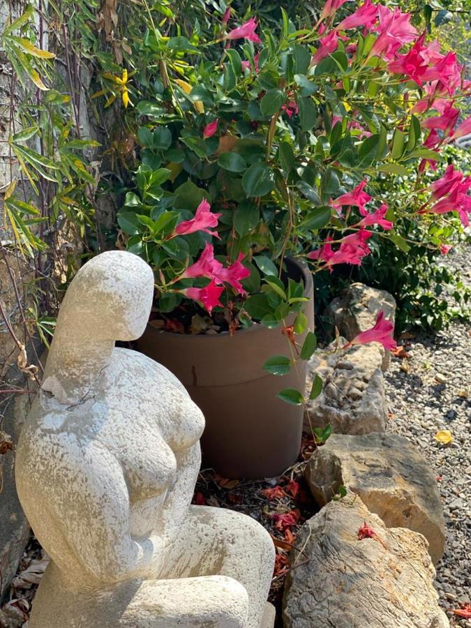 Carpe Diem Paradise Mougins Eksteriør bilde